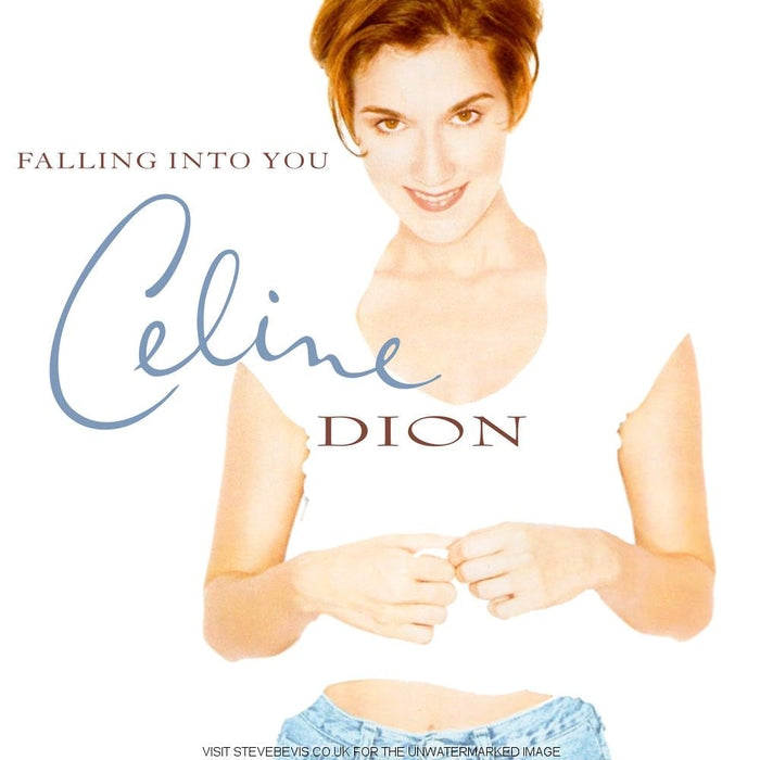 Céline Dion – Falling Into You (2xLP)