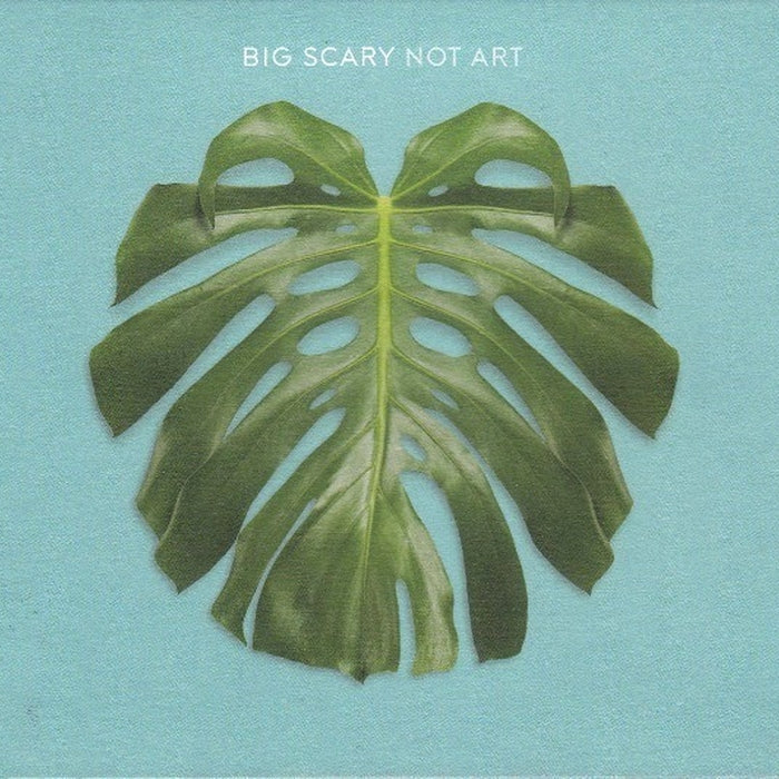Big Scary – Not Art (VG+/VG+)