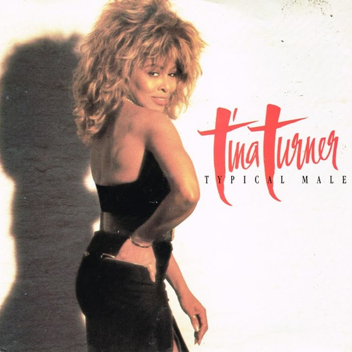 Tina Turner – Typical Male (E/E)