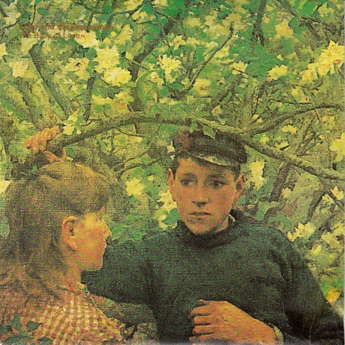 Echo & The Bunnymen – The Back Of Love (VG+/VG+)