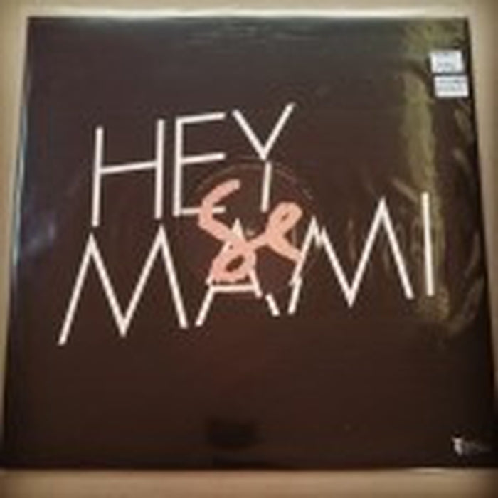 Sylvan Esso – Hey Mami (M/E)