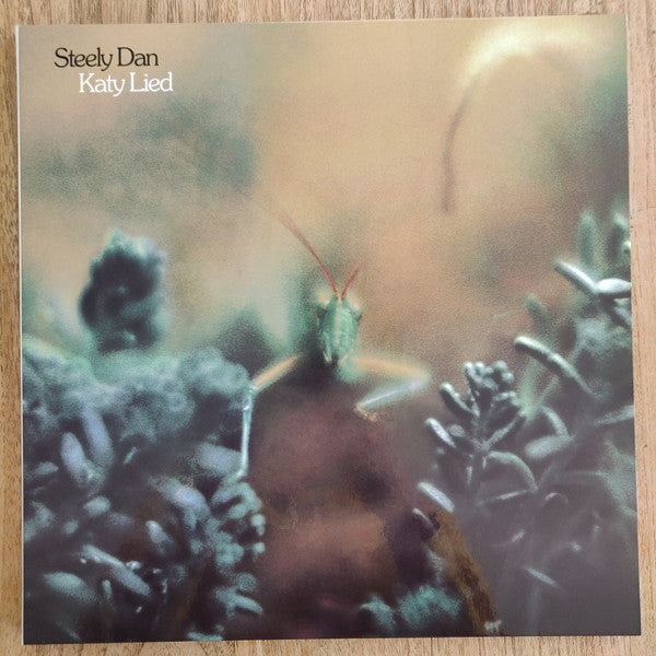 Katy Lied (AARP VINYL BOX SET) | Mint (M) Mint (M)