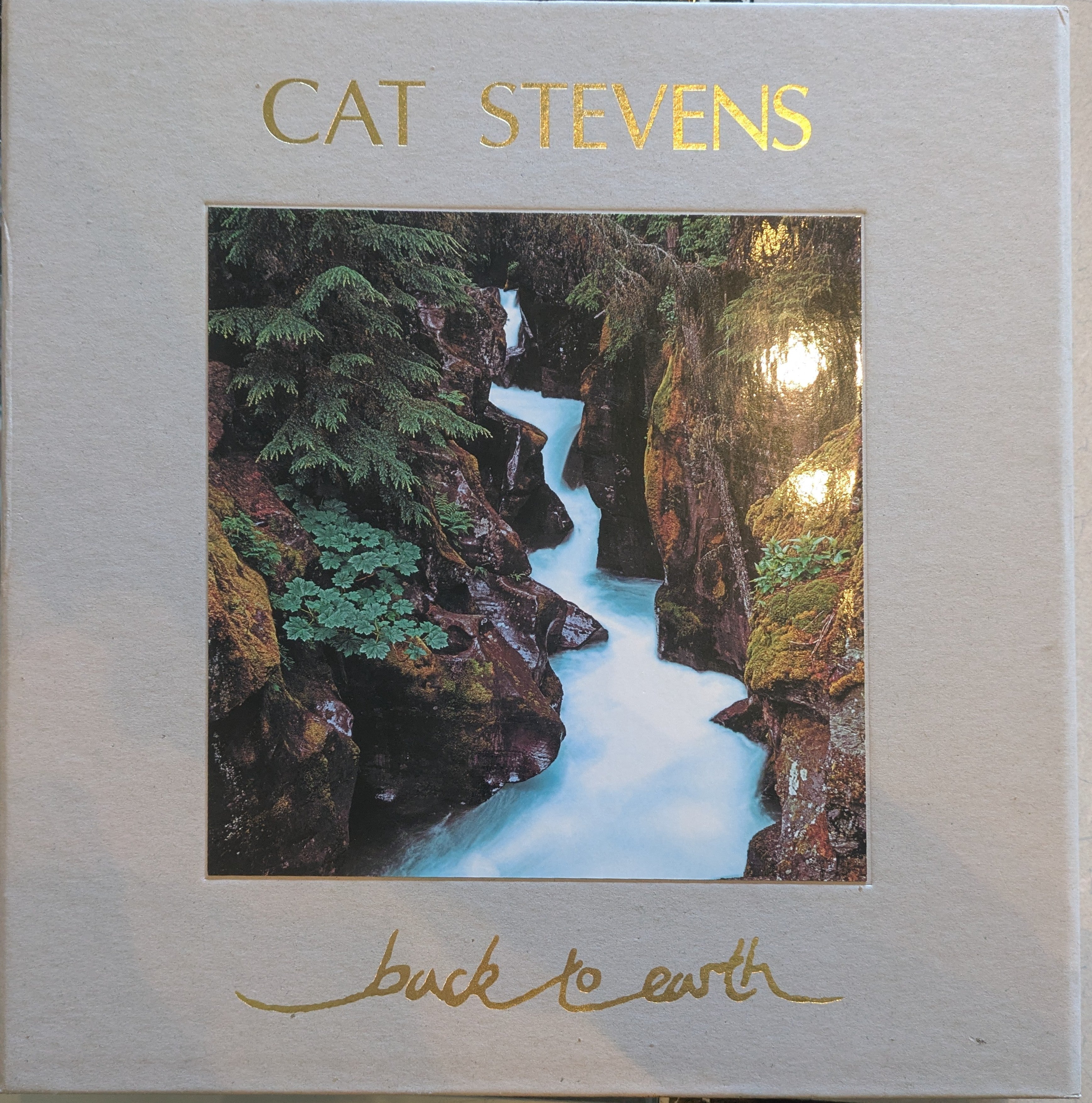 Back To Earth (BOX SET - EUROPE) | Near Mint (NM) Near Mint (NM)