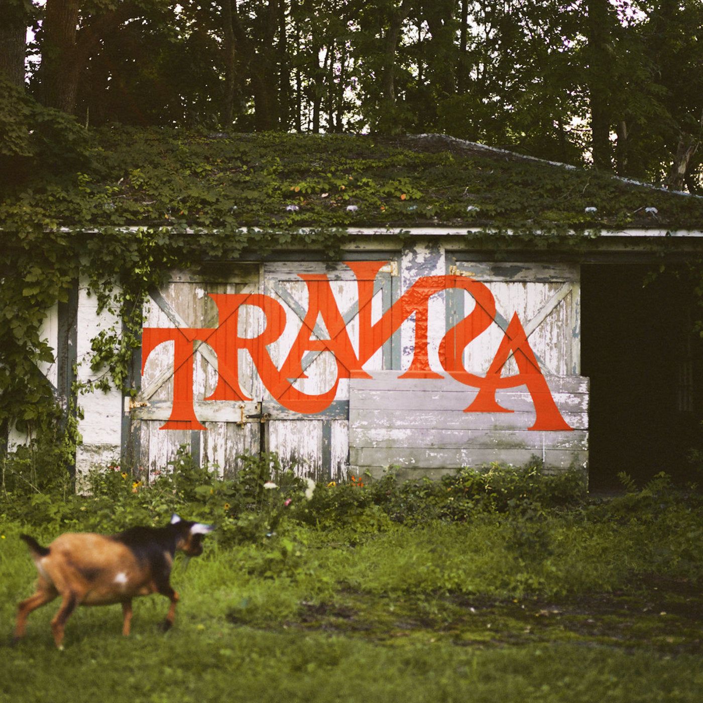 (PRE-ORDER 10/10/25) Transa (Deluxe Edition)(6xVINYL BOX SET) | Mint (M) Mint (M)